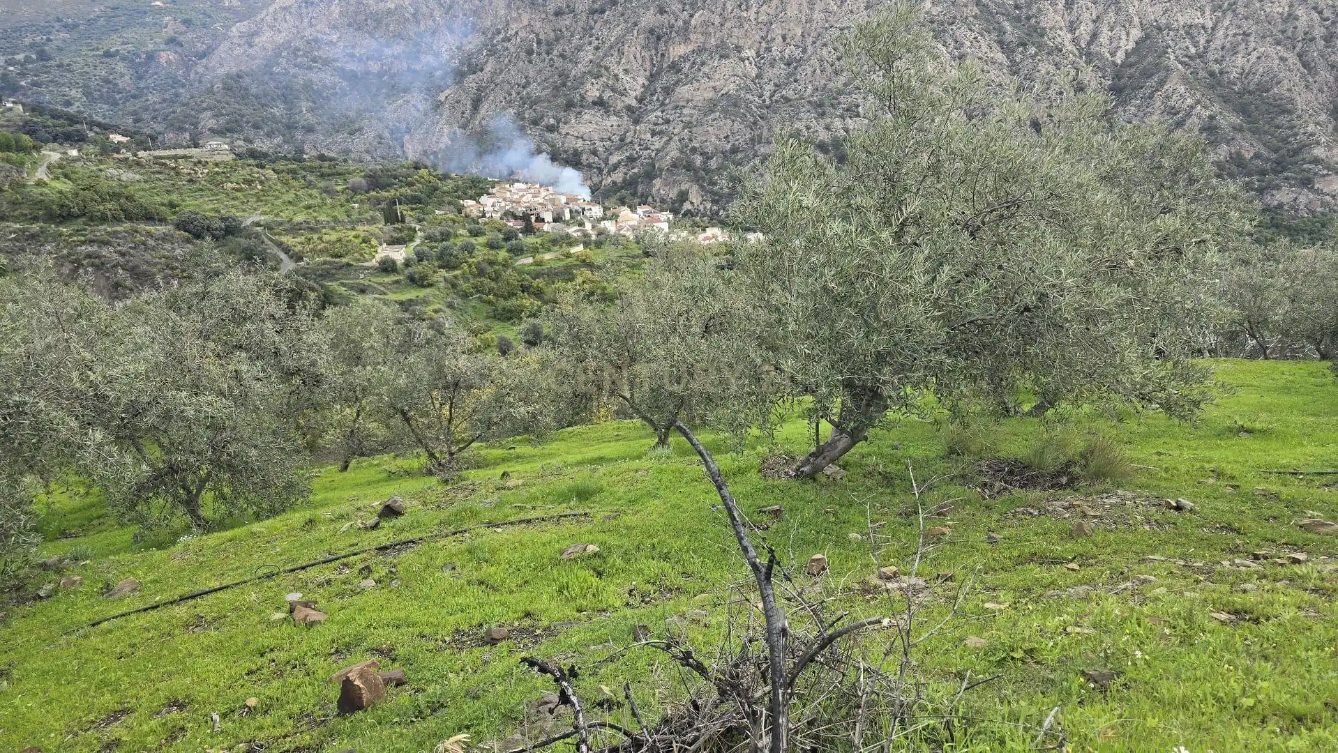 Terreno rustico in vendita a Polígono 11 Parcela 96 EL CERRILLAR. LOS GUAJARES (GRANADA), imagen 12