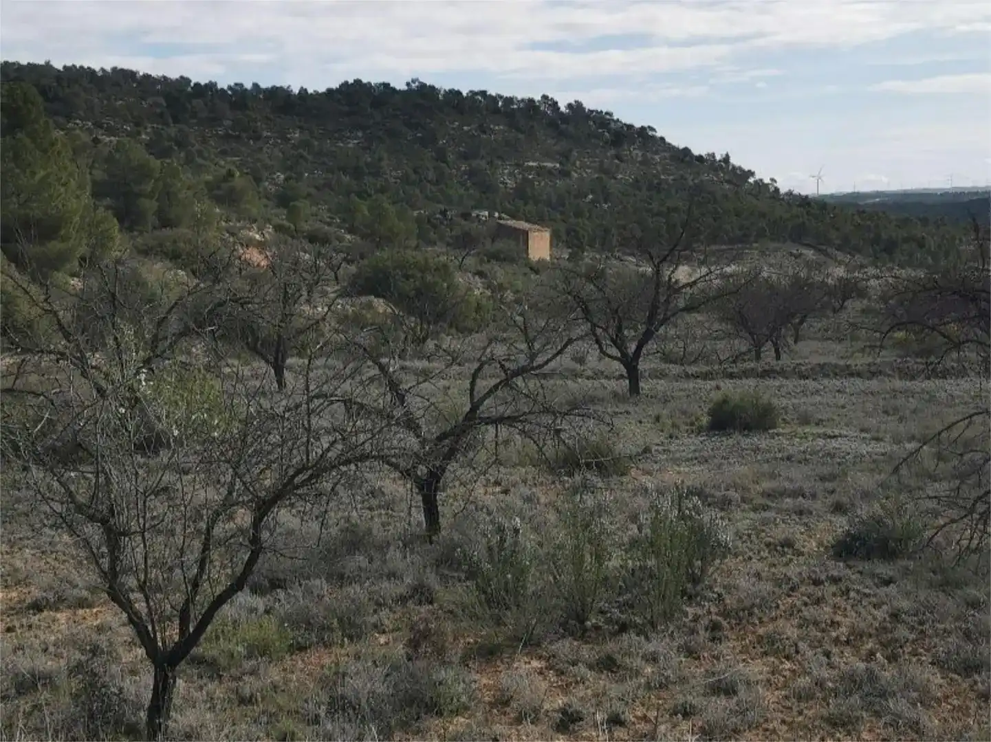 Finca rústica en venda en Nonaspe
