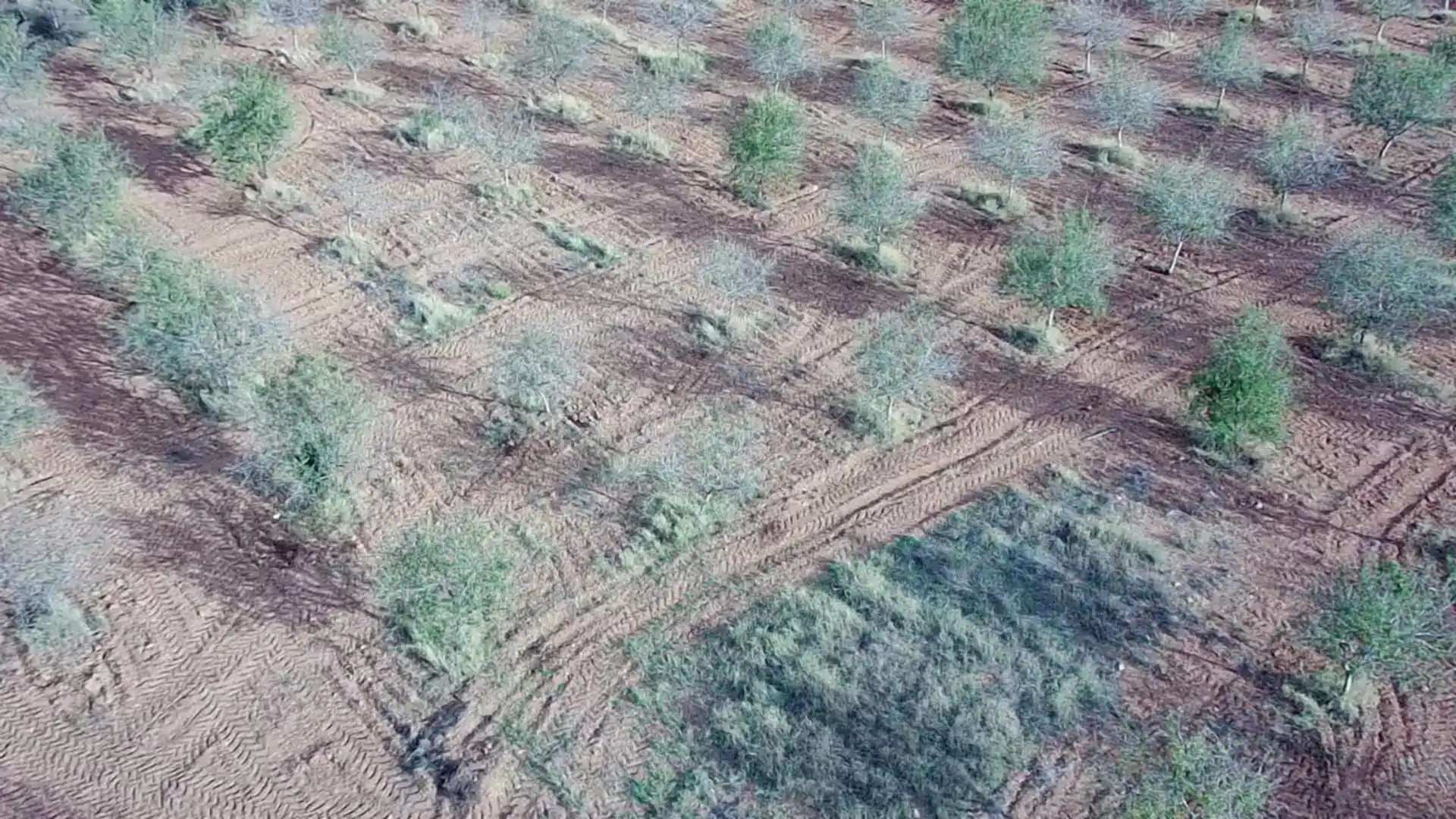 Terreny rústic en venda a Pedanías Oeste, imagen 4