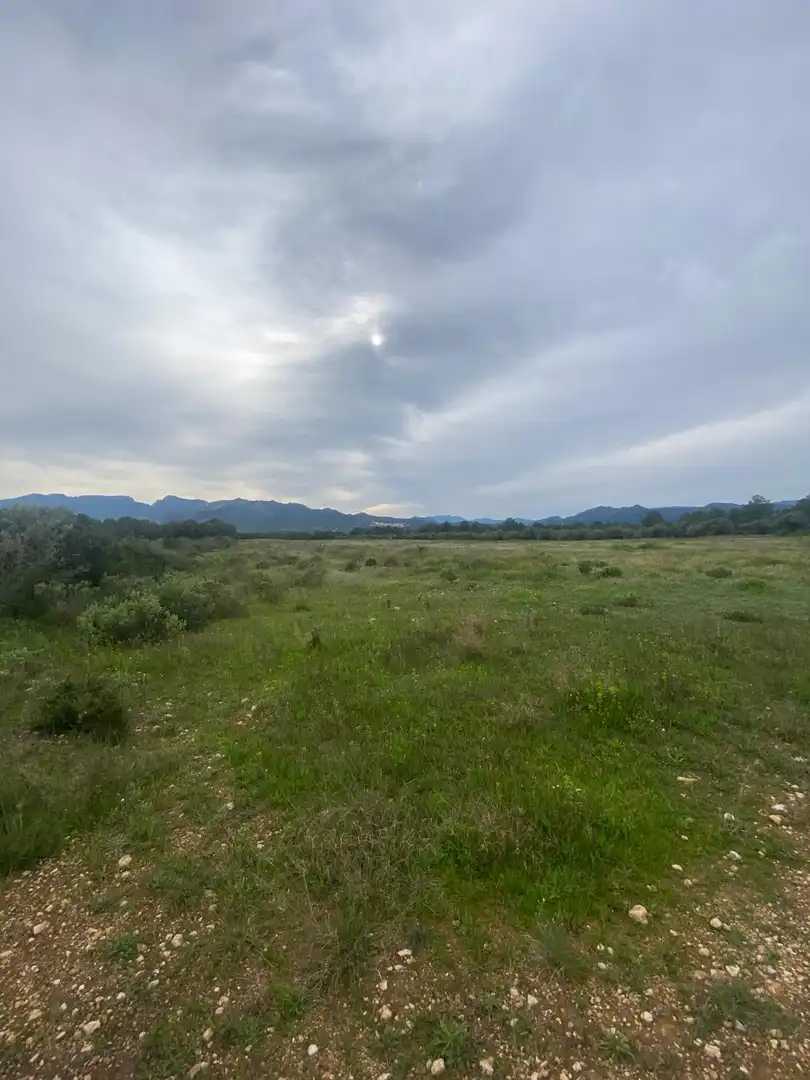 Lands and plots for sale in Ginestar, imagen 5