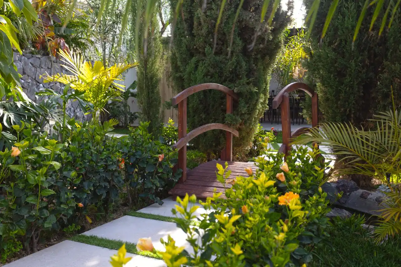 Jardí de Casa o xalet de lloguer en Icod de los Vinos amb Jardí privat, Terrassa i Piscina