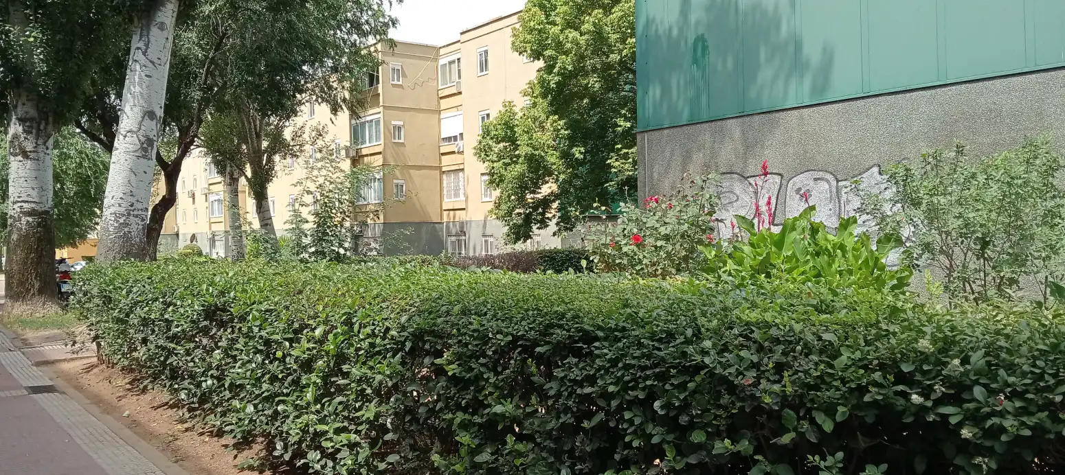 Vista exterior de Piso en venta en Mejorada del Campo con Calefacción y Amueblado