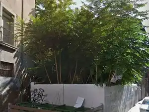 Wohnbaugrundstück zum Verkauf in Calle Verjas, imagen 2