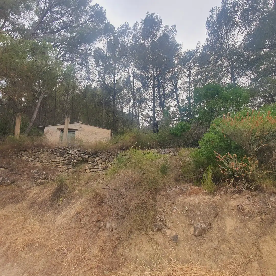 Terreno rústico en venta en Benifallet, imagen 13