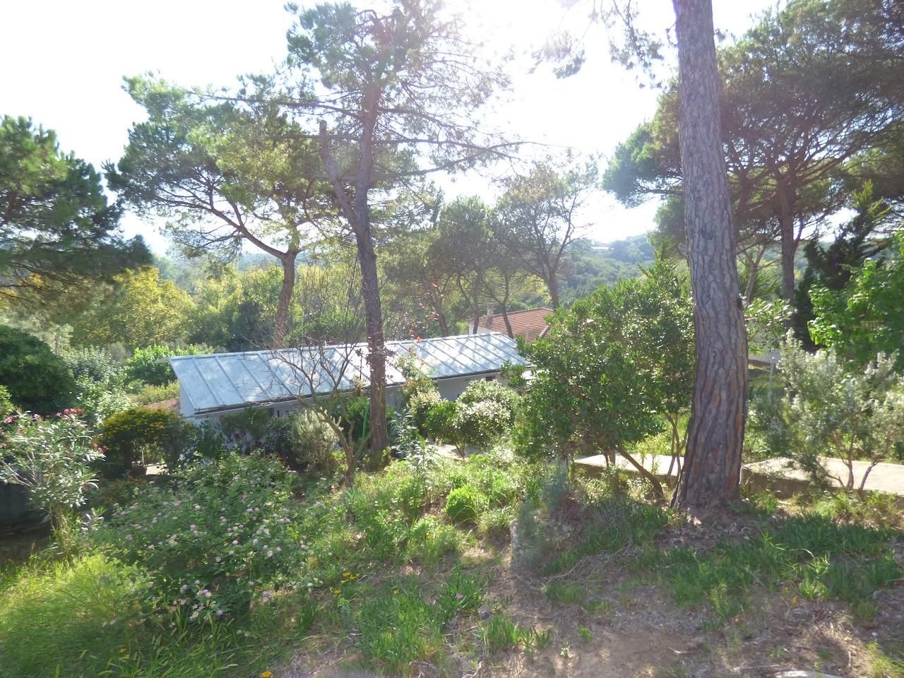 Jardín de Casa o chalet en venta en Tordera con Jardín privado