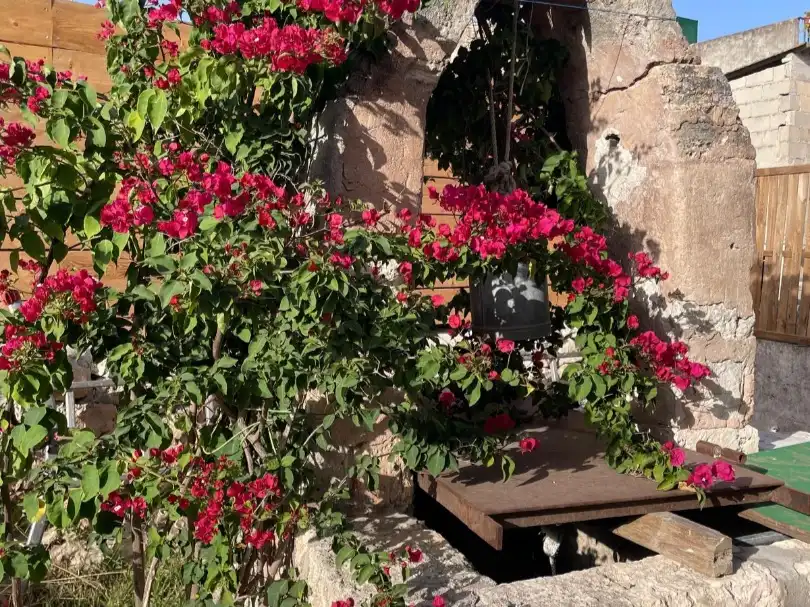Casa o xalet de lloguer en Sineu amb Aire condicionat i Terrassa
