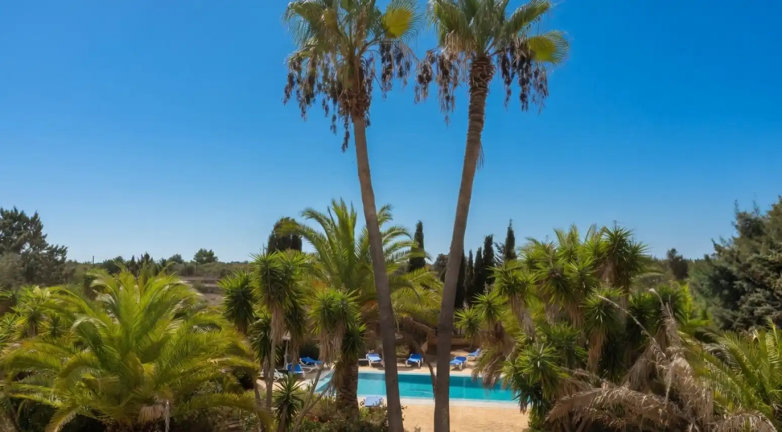 Swimming pool of Houses for sale in Llucmajor  with Air Conditioner, Terrace and Swimming Pool