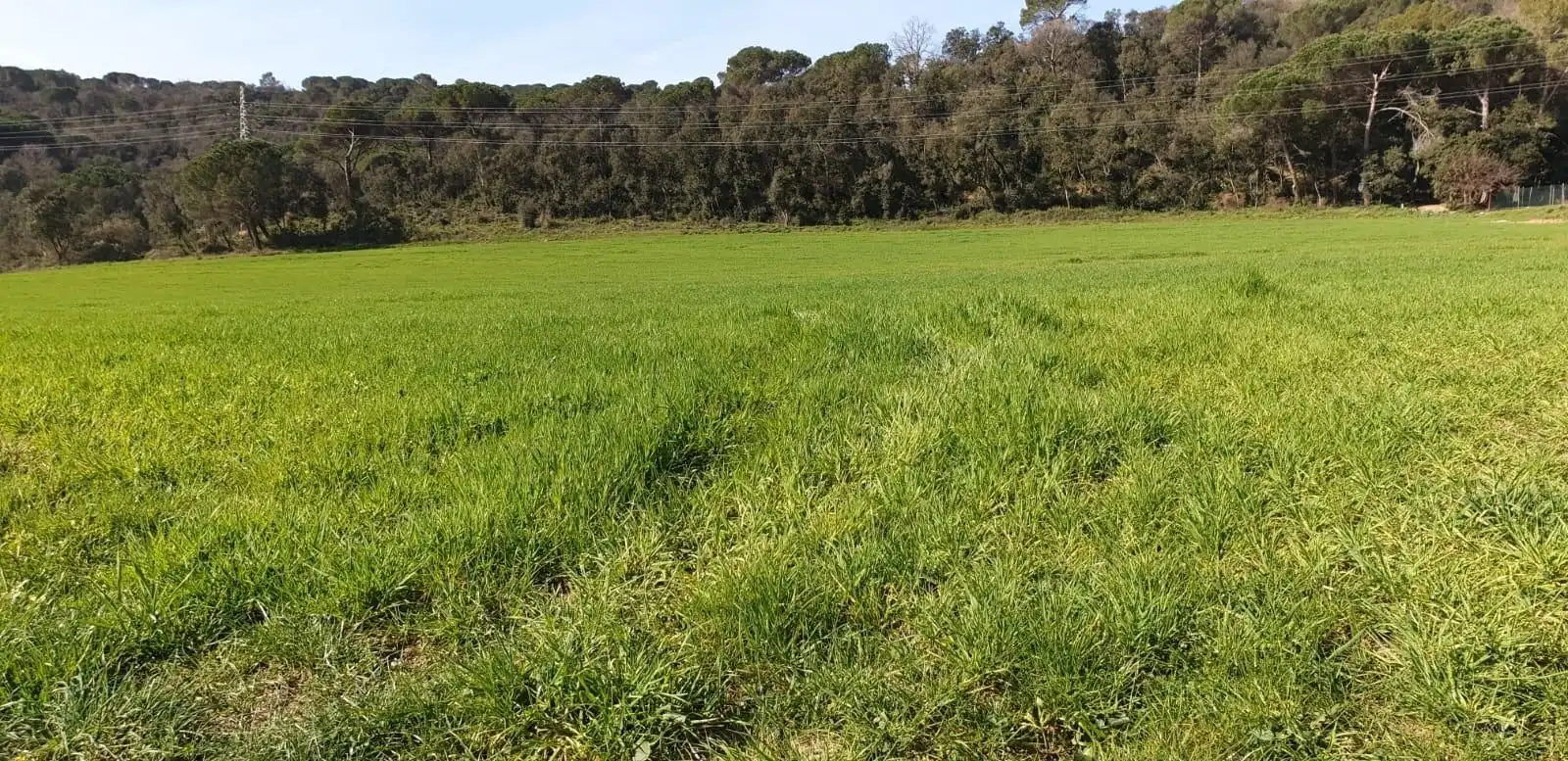 Finca rústica en venta en Sant Celoni