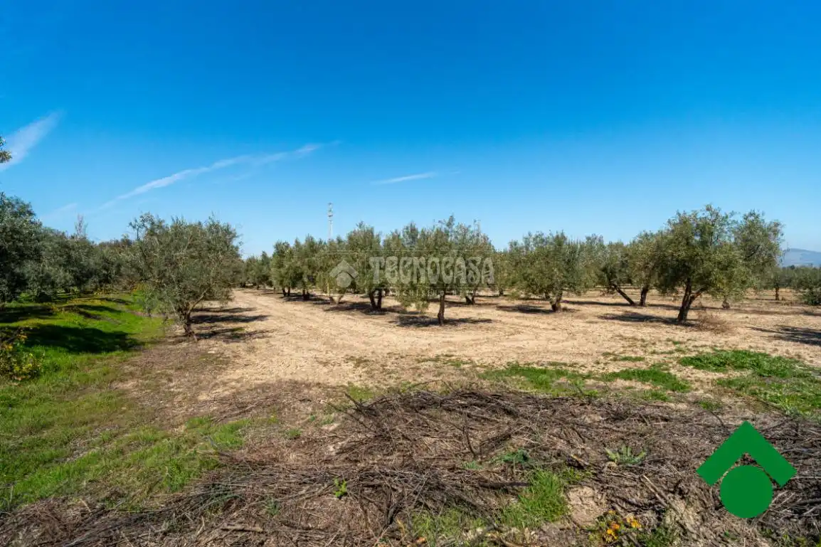Finca rústica en venta en Chauchina