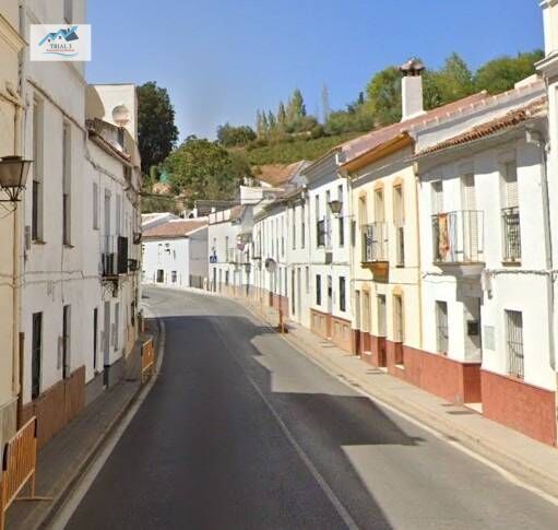 Exterior view of House or chalet for sale in Constantina