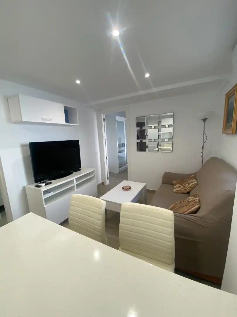 Wohnzimmer von Wohnungen zur Miete in Málaga mit Klimaanlage, Möbliert und Waschmaschine