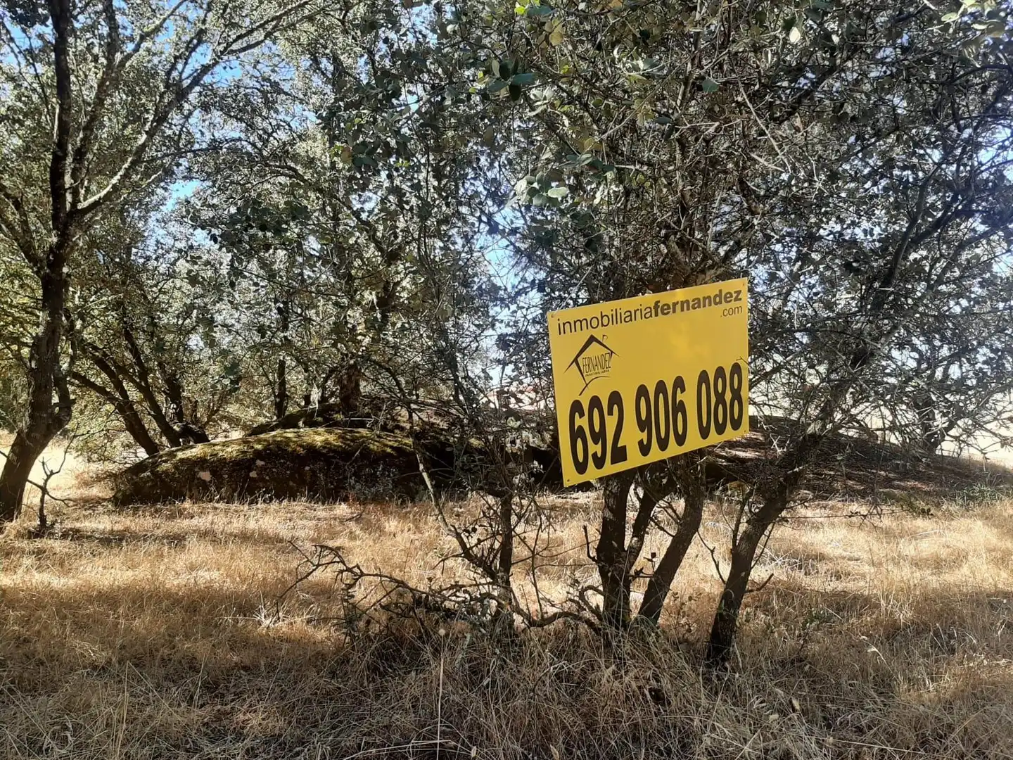 Terreni e lotti in vendita a Torreorgaz, imagen 2