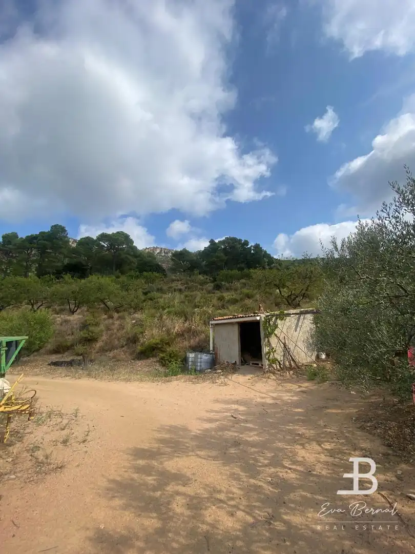 Terreny rústic en venda a Alforja, imagen 9