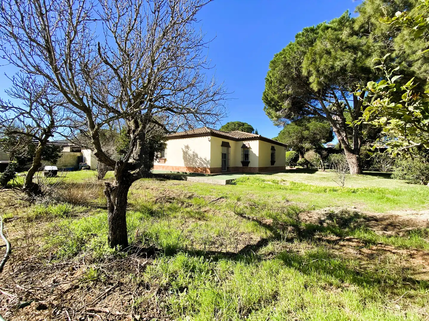 Chalet en venta en Calle Erizo 15, imagen 32
