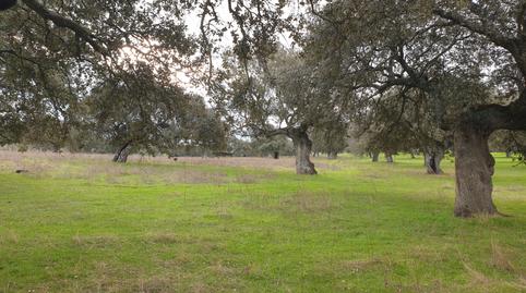 Foto 2 de Terreno en venta en Castilblanco, Badajoz