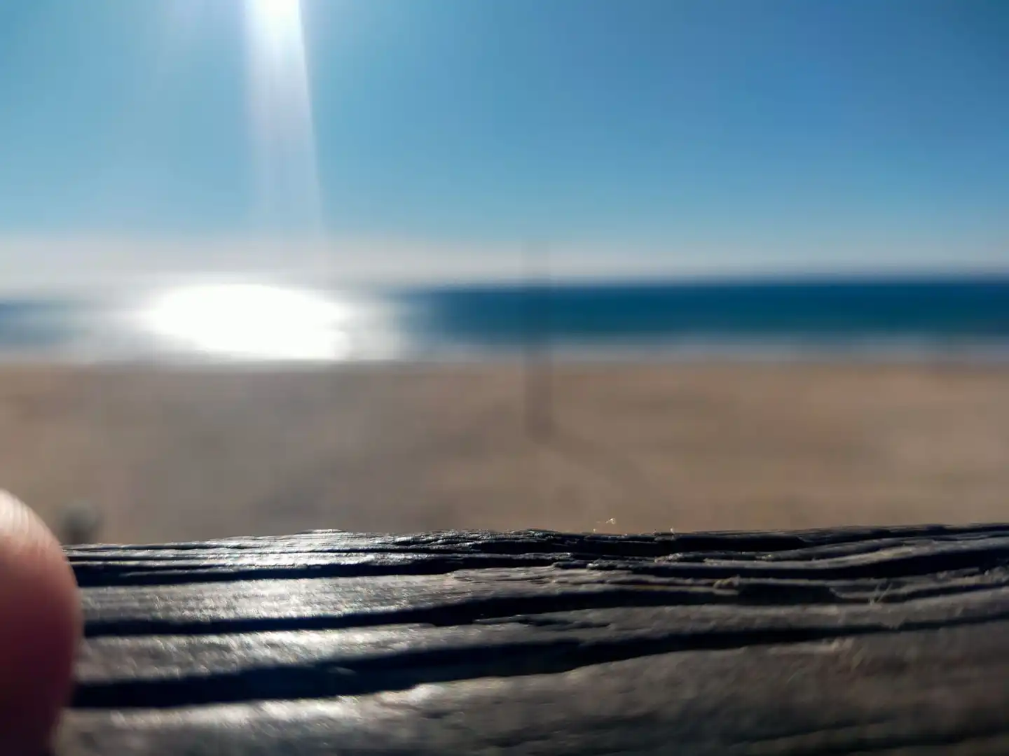 Vista exterior de Casa o xalet de lloguer en Chiclana de la Frontera amb Jardí privat, Terrassa i Piscina