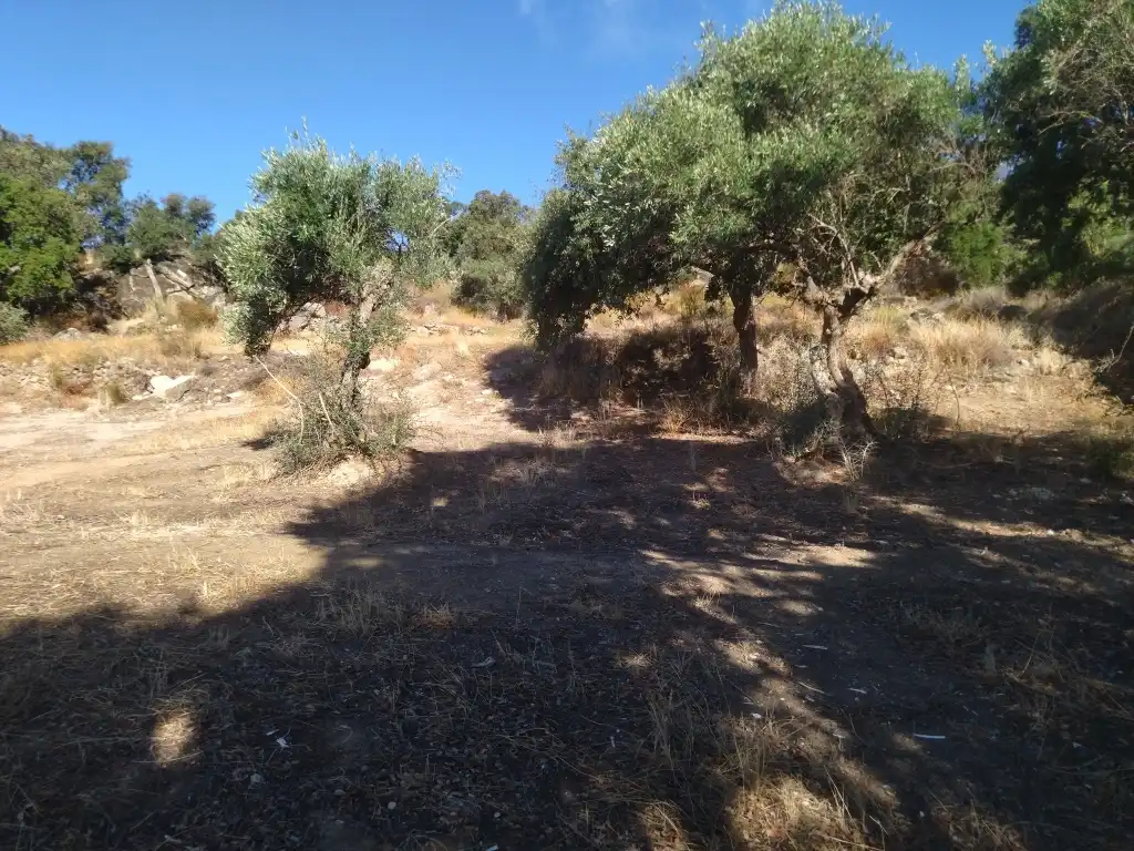 Terreni e lotti in vendita a Arroyomolinos (Cáceres), imagen 8
