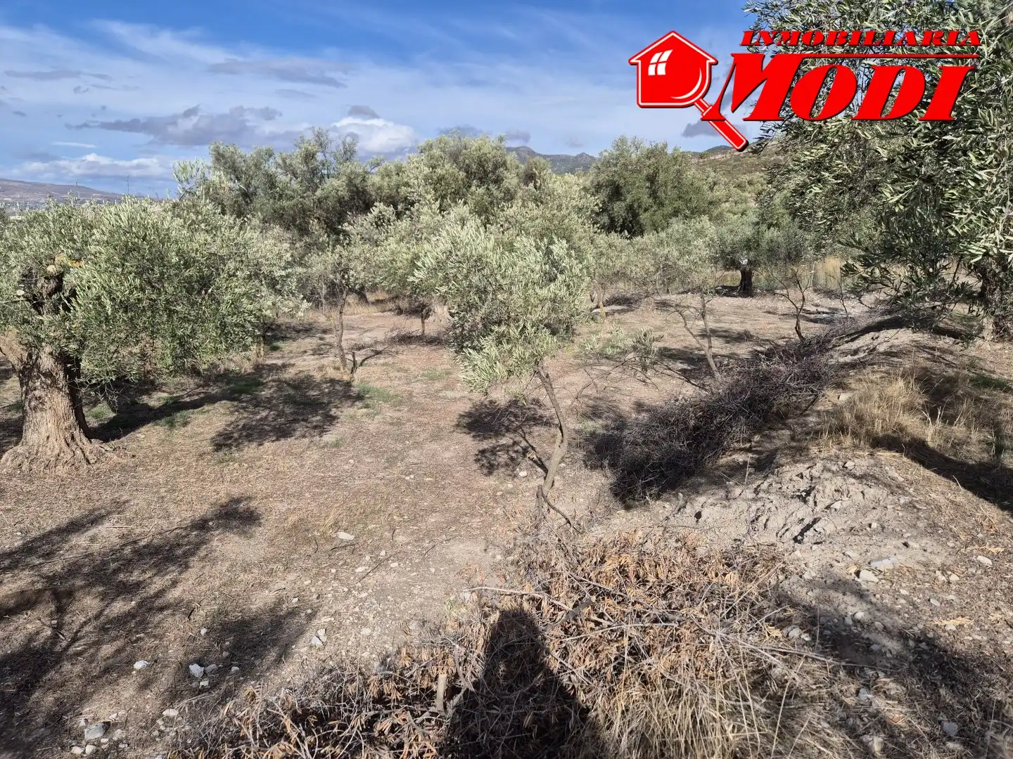 Lands and plots for sale in Dúrcal, imagen 10