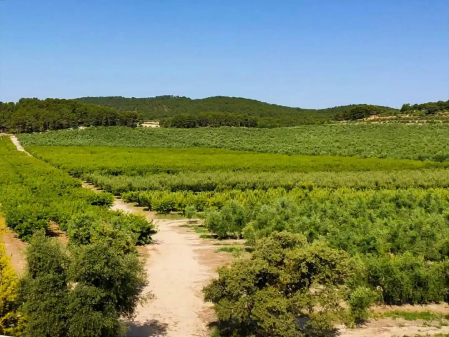Wohnung zur Miete in Alcoy / Alcoi mit Klimaanlage, Privatgarten und Schwimmbad