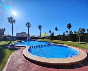 Swimming pool of Planta baja to rent in Torrevieja  with Heating, Private garden and Swimming Pool