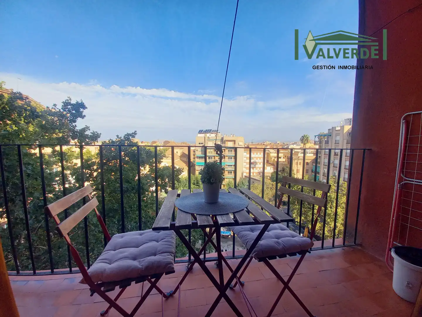Studio with terrace to rent in Plaza de Gracia, imagen 2