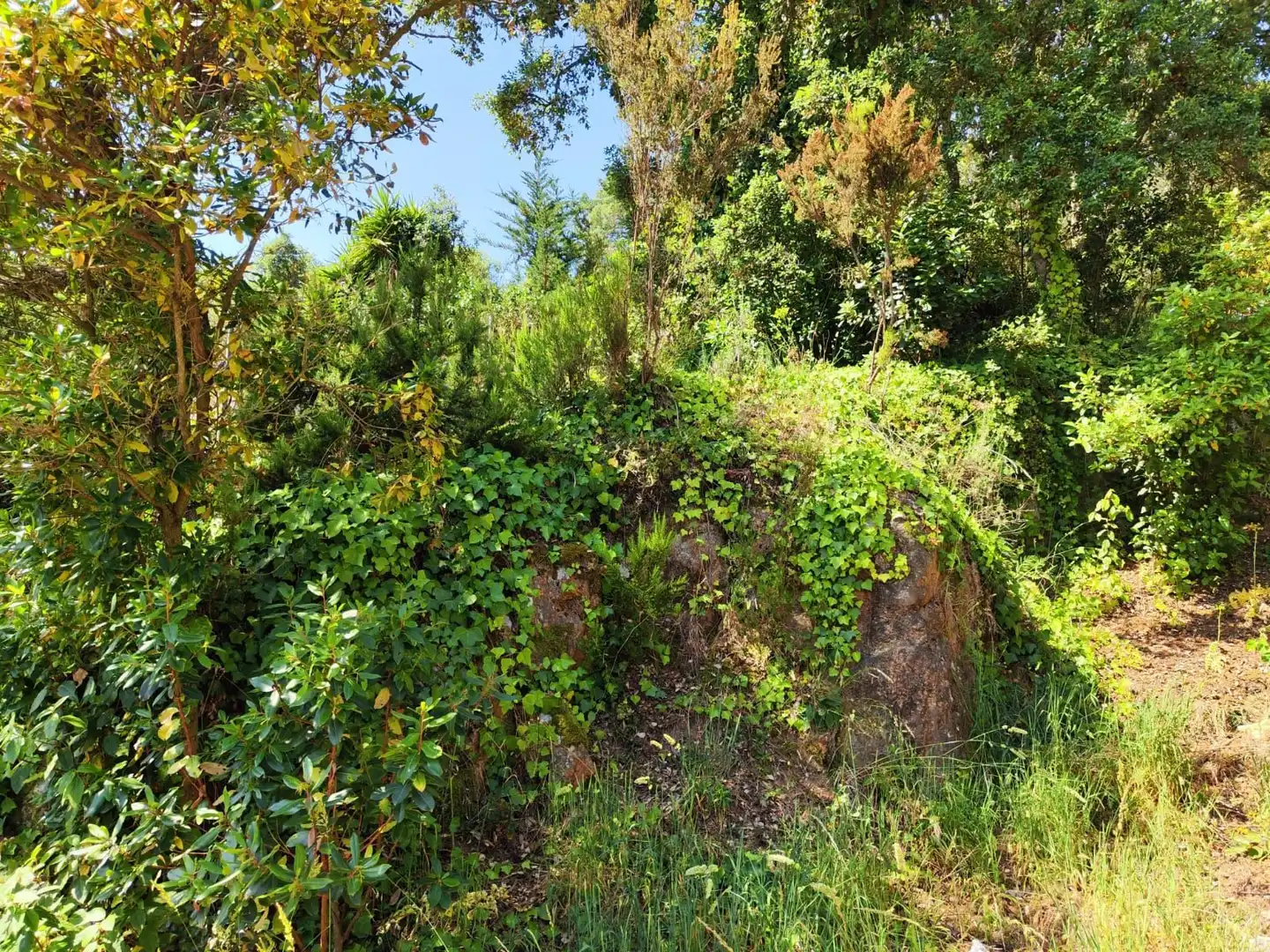 Lands and plots for sale in Llagostera, imagen 13