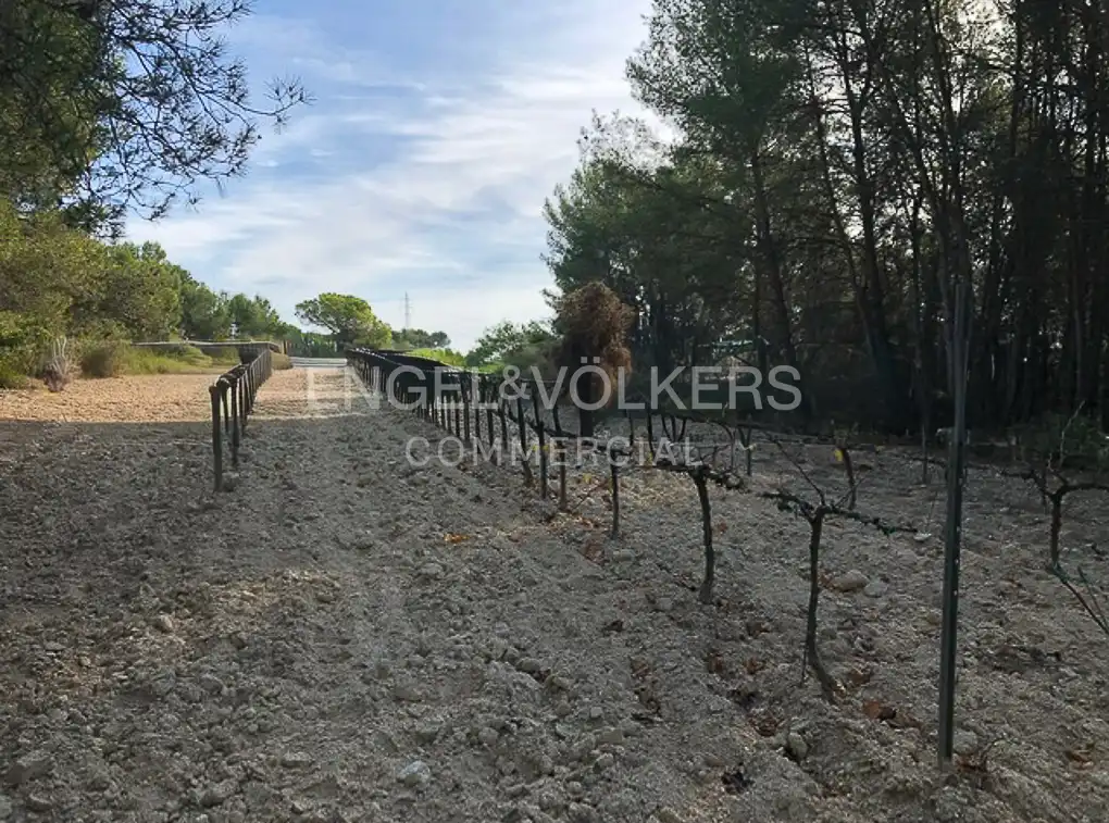 Fabrik Grundstücke zum Verkauf in Avinyonet del Penedès