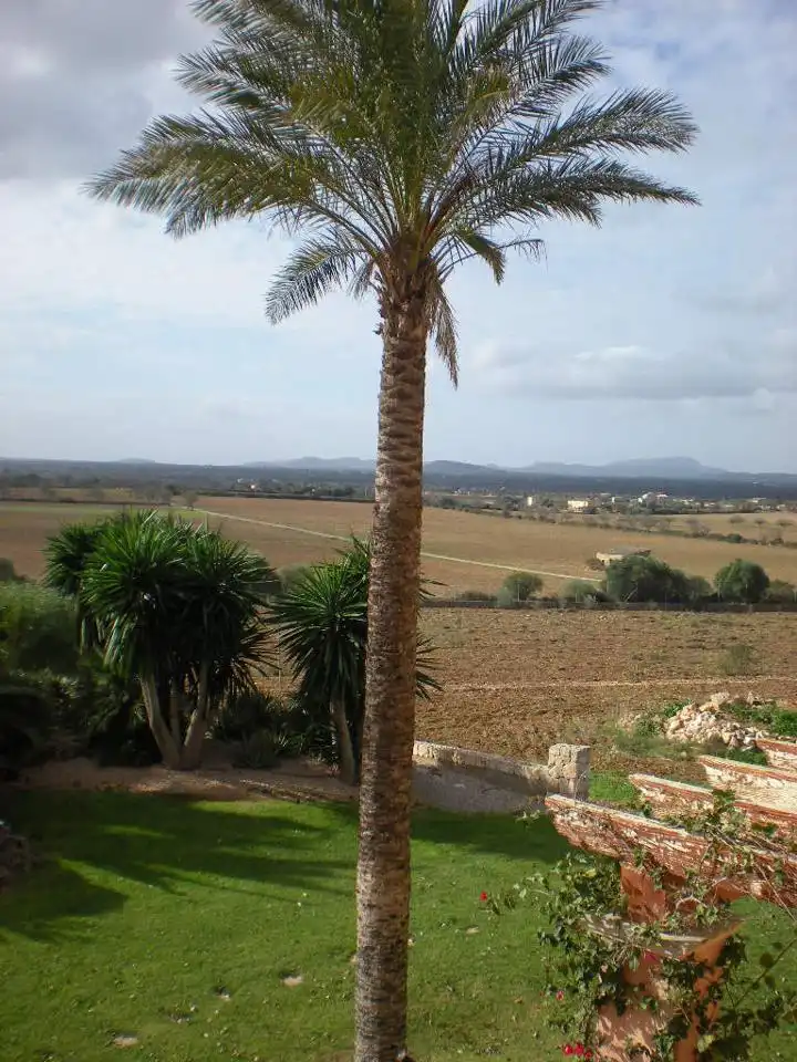 Xalet en venda a Carrer de la Dolçura, imagen 31
