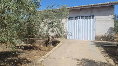 Photo 3 of Country homes for sale in Villarrubia,  Córdoba Capital