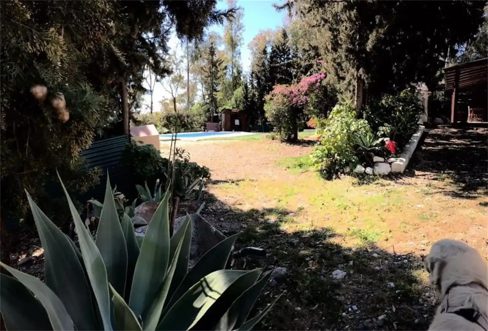 Jardí de Casa o xalet en venda en Gaucín amb Aire condicionat i Piscina