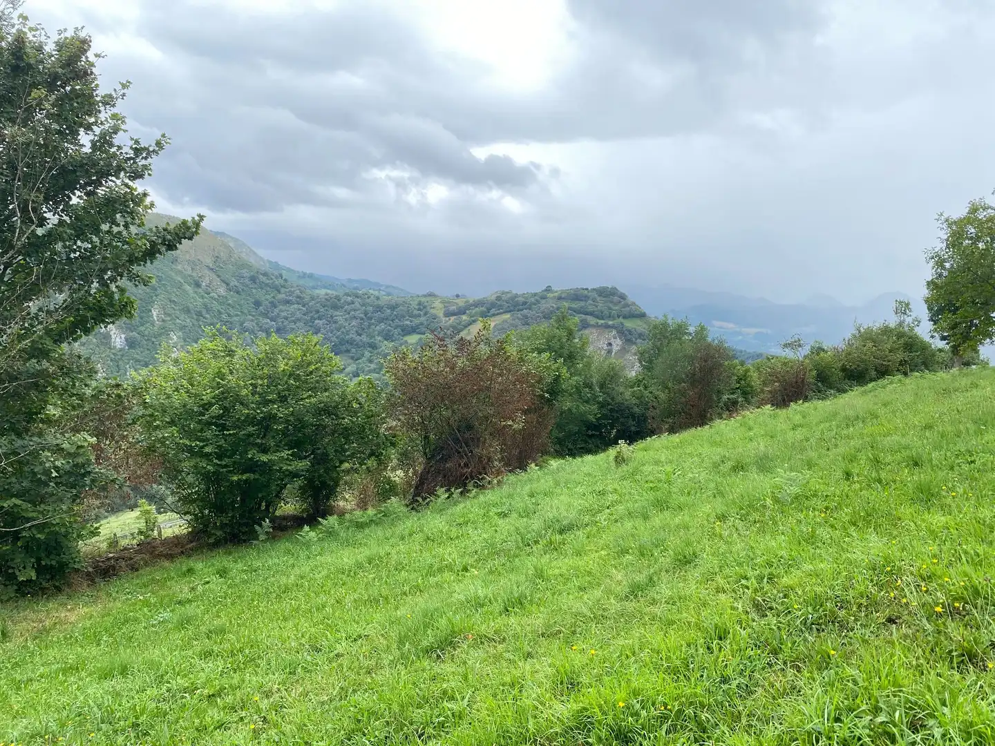 Houses for sale in Gamonedo, Cangas de Onís
