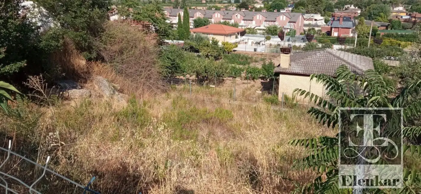 Rural land for sale in MONTE BODEGAS
