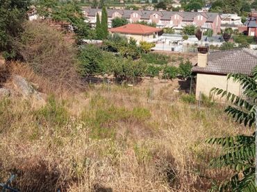 Terreno rústico en venta en MONTE BODEGAS