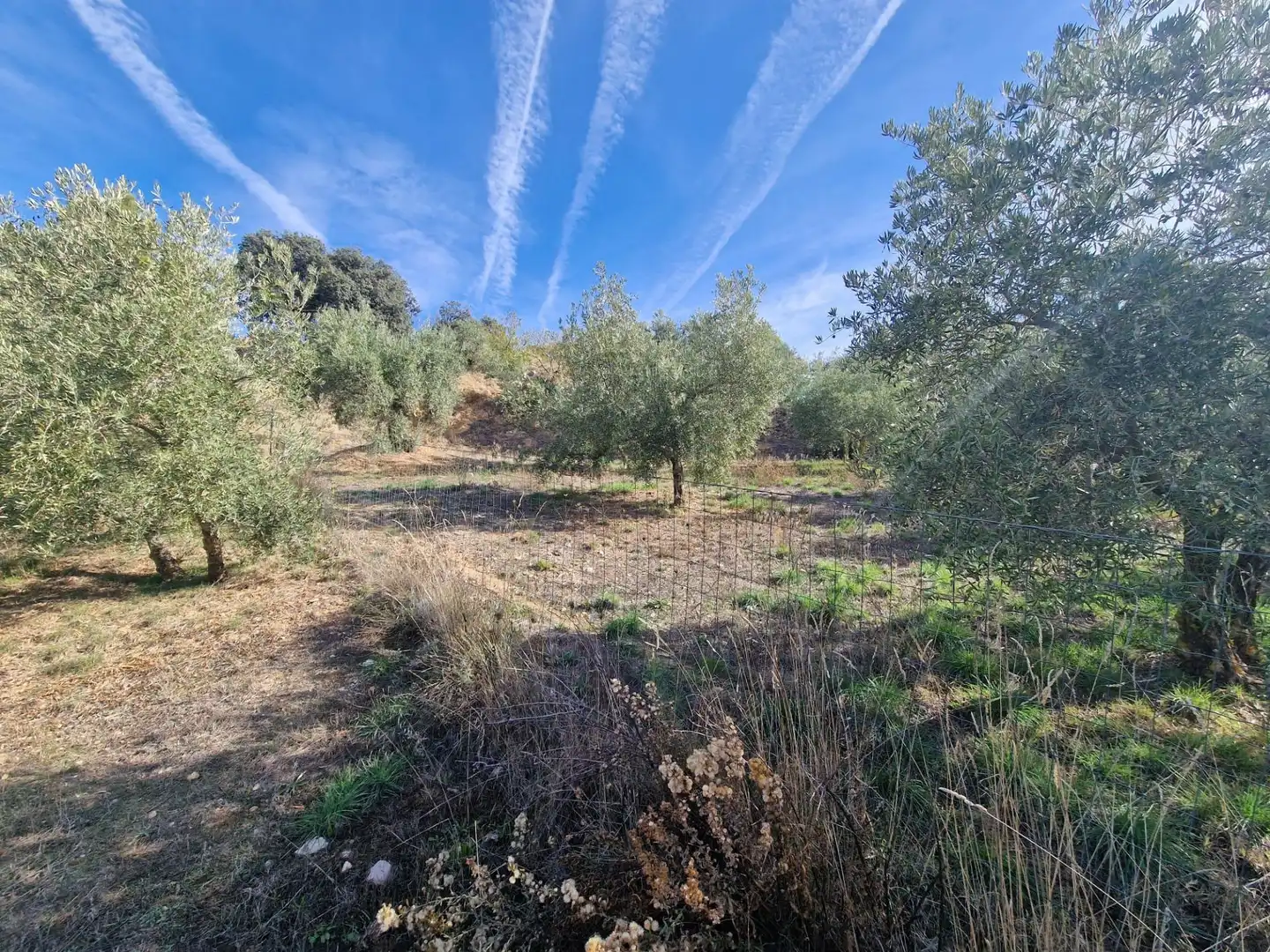Maison rustique avec jardin à vendre à Cogollos de la Vega, imagen 73