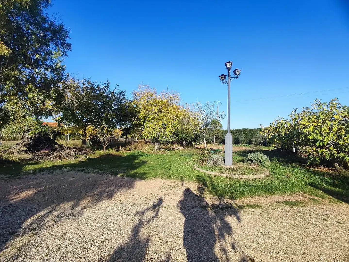 Casa con piscina en venta en Carretera la Solana-Tomelloso, imagen 28