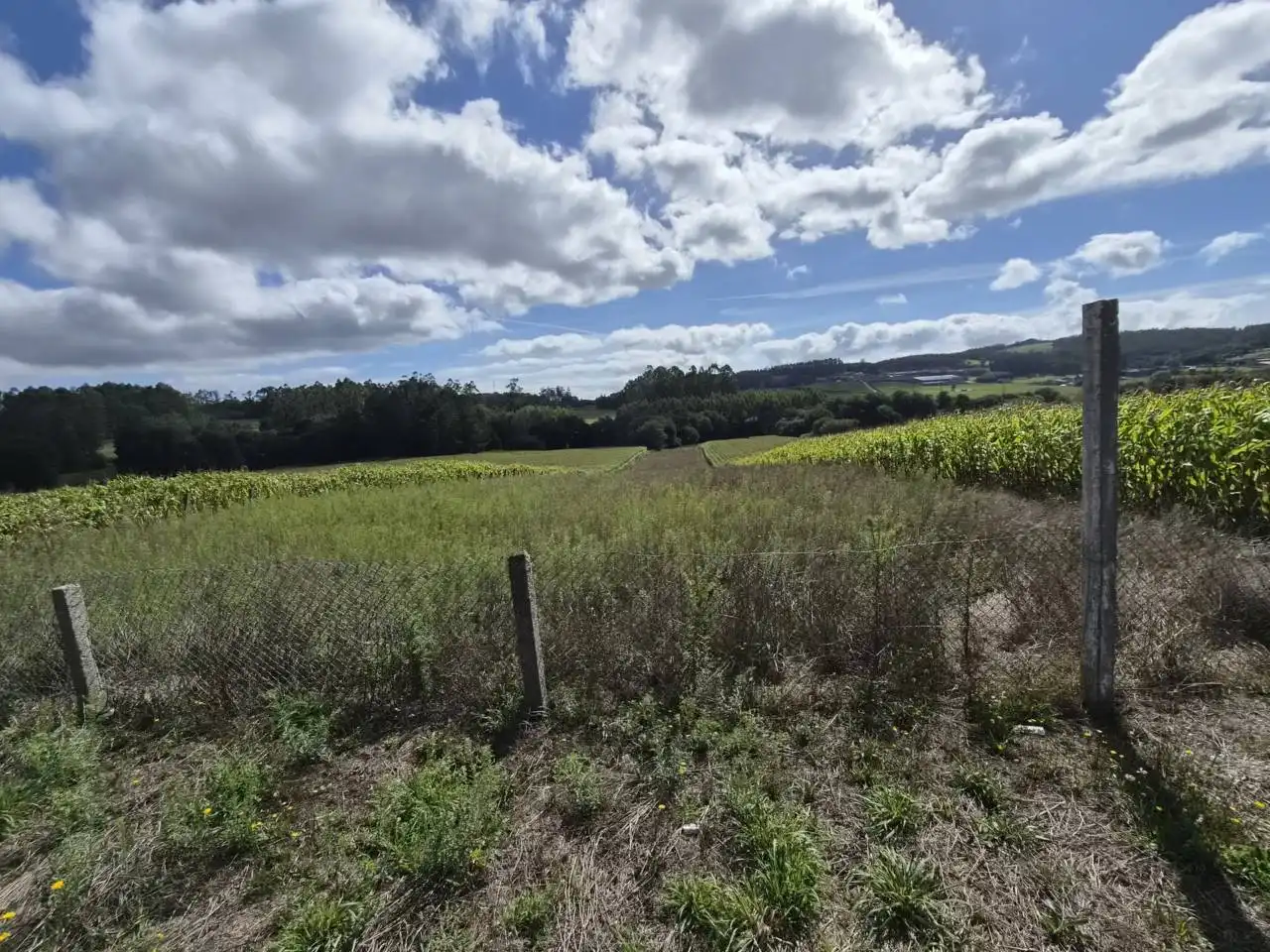 Country homes for sale in Rois  with Private garden, Furnished and Alarm