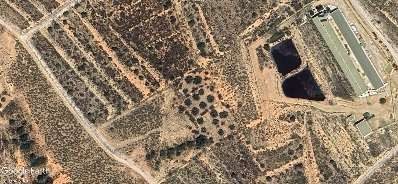 Land for sale in Fuente Álamo de Murcia