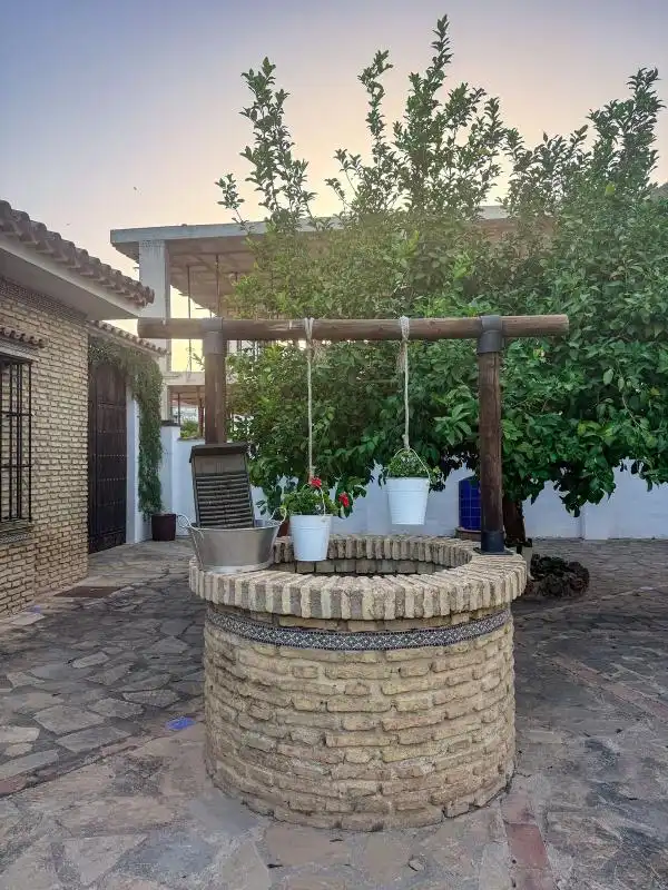 Terrassa de Casa o xalet en venda en Algodonales amb Aire condicionat, Calefacció i Jardí privat