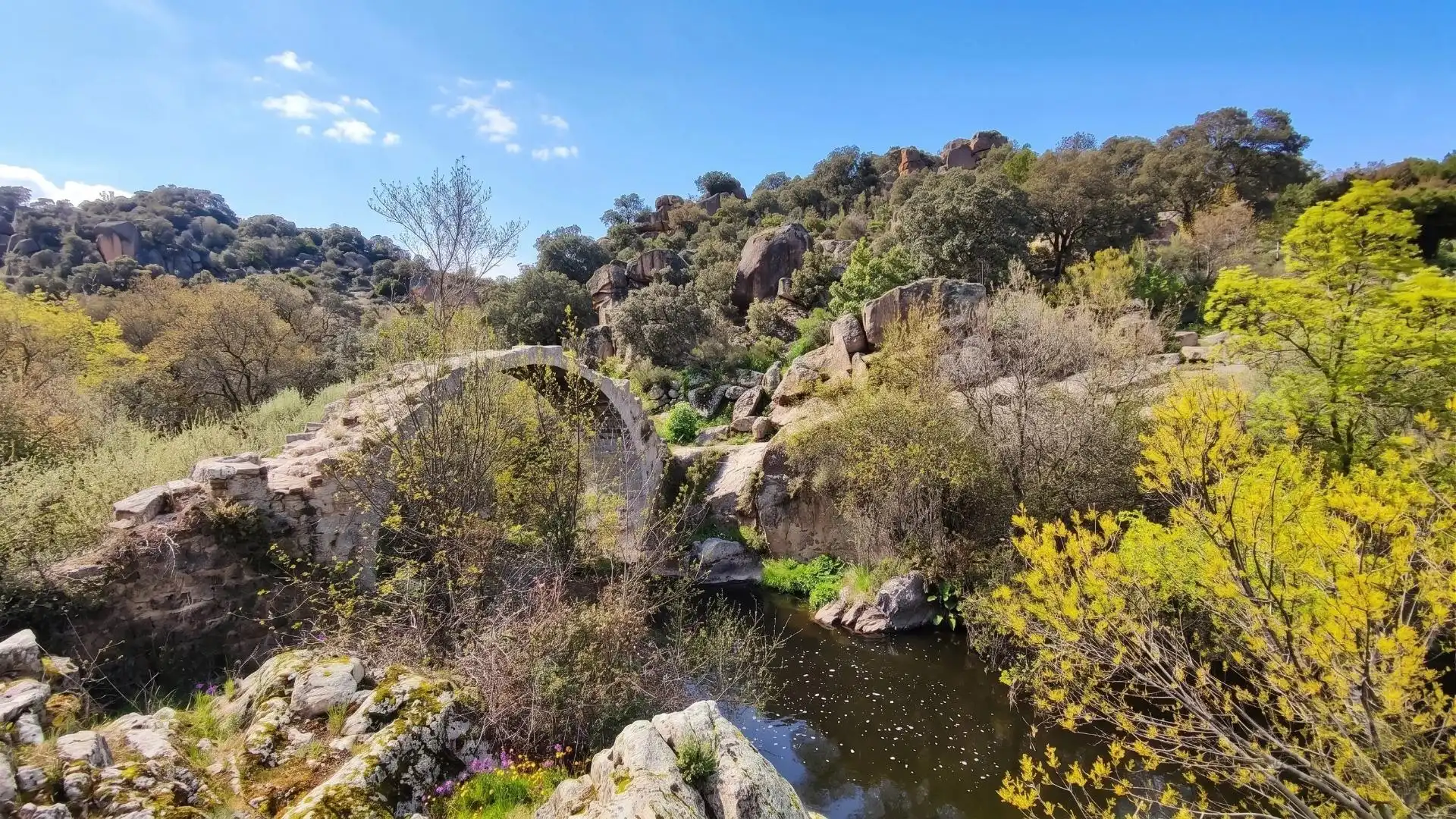 Jardí de Residencial en venda en Galapagar