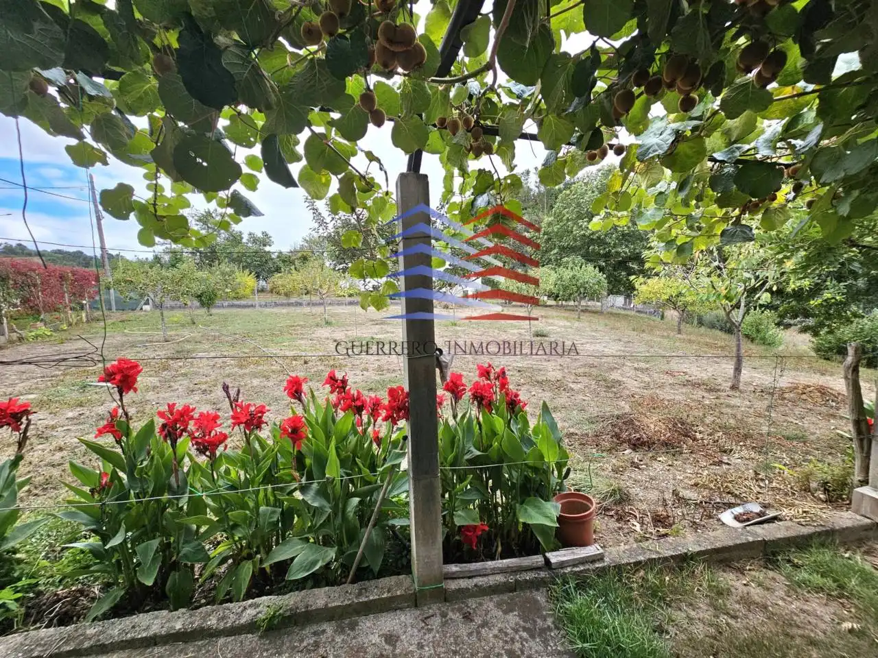Jardí de Casa o xalet en venda en Celanova amb Jardí privat i Terrassa