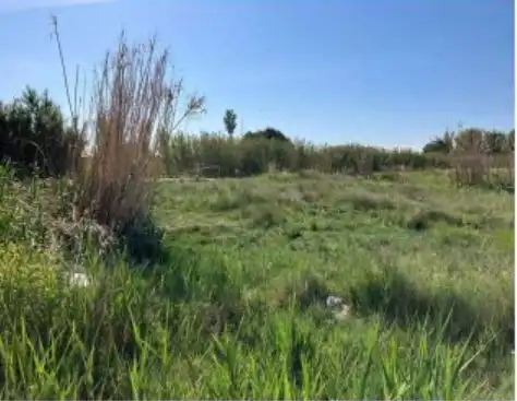 Terreno rustico in vendita a La Puebla de Almoradiel
