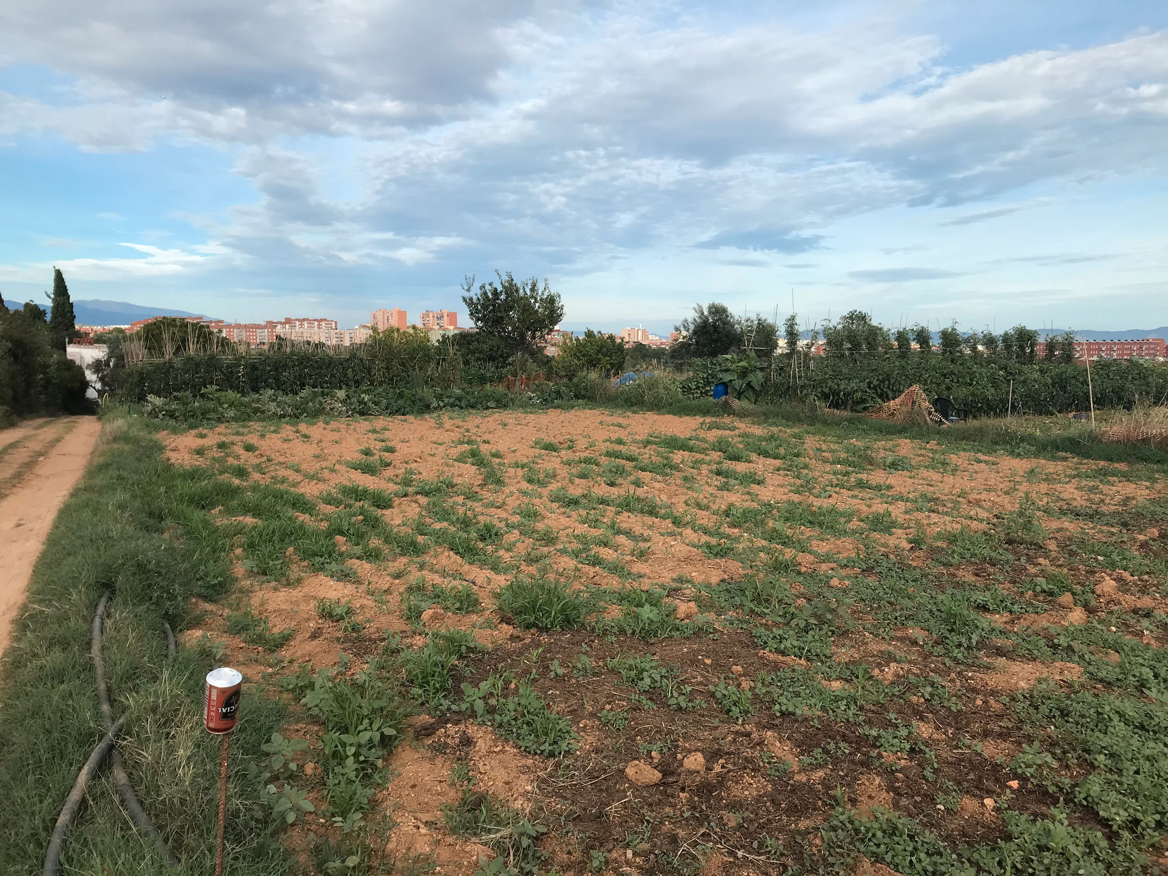 Land for sale in Sabadell