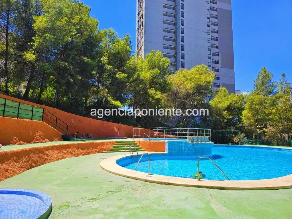 Pis amb piscina en venda a Avenida de Montecarlo, imagen 6