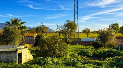 Foto 5 de Residencial en venta en Carrer Alfabaguera, Es Garrovers, Marratxí