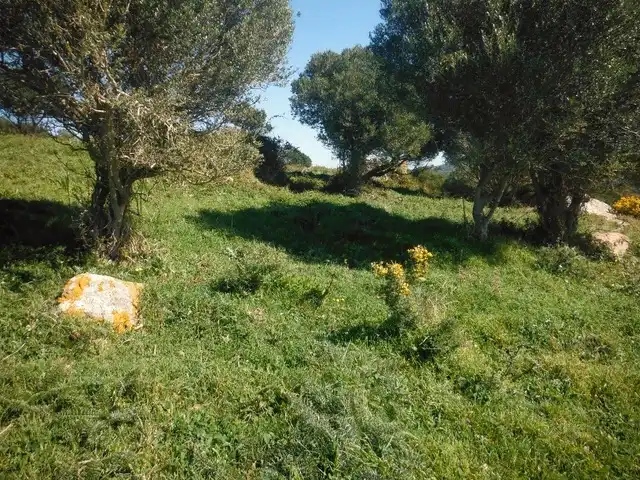 Rustikales Grundstück zum Verkauf in Puerto El Bujeo, imagen 8