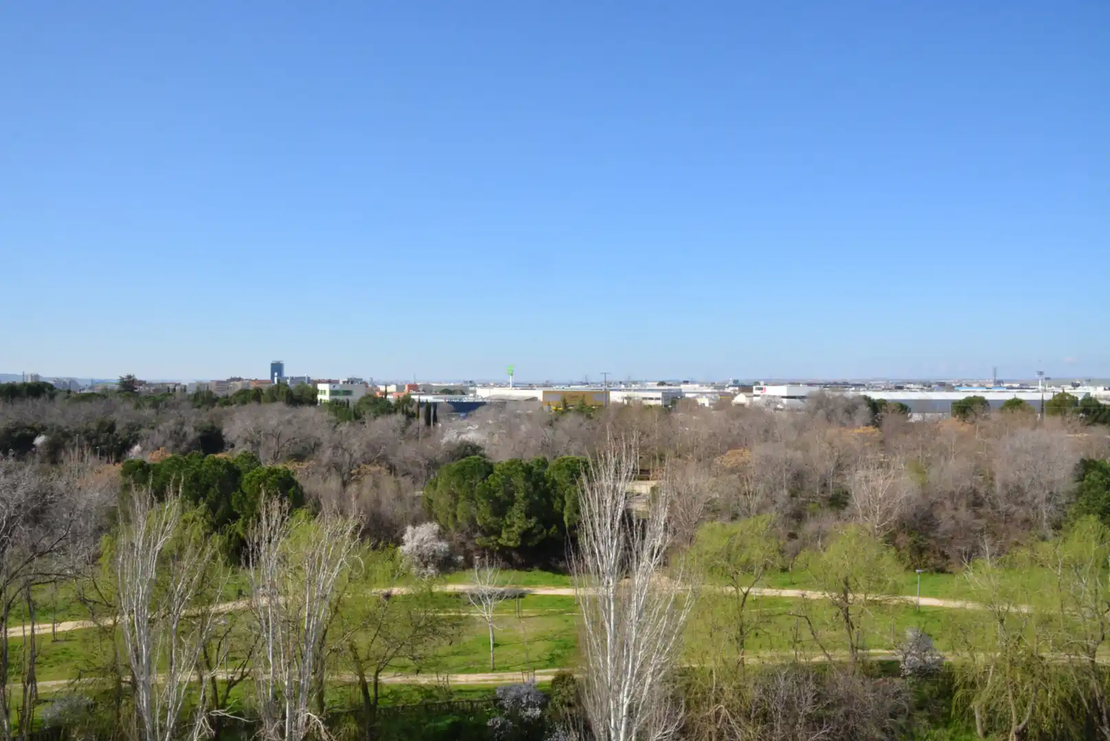Vista exterior de Pis en venda en Alcalá de Henares amb Calefacció, Terrassa i Piscina