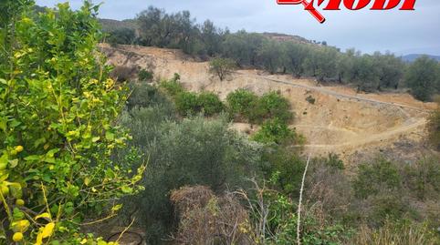 Photo 3 of Country house for sale in El Valle, Granada