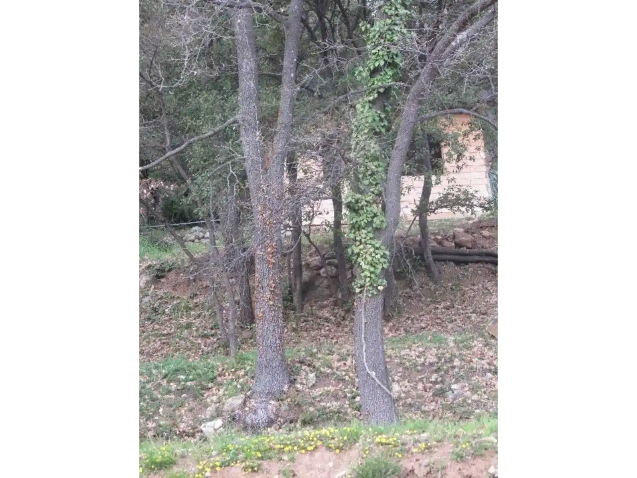 Terreno residenziale in vendita a La Nou de Berguedà, imagen 9