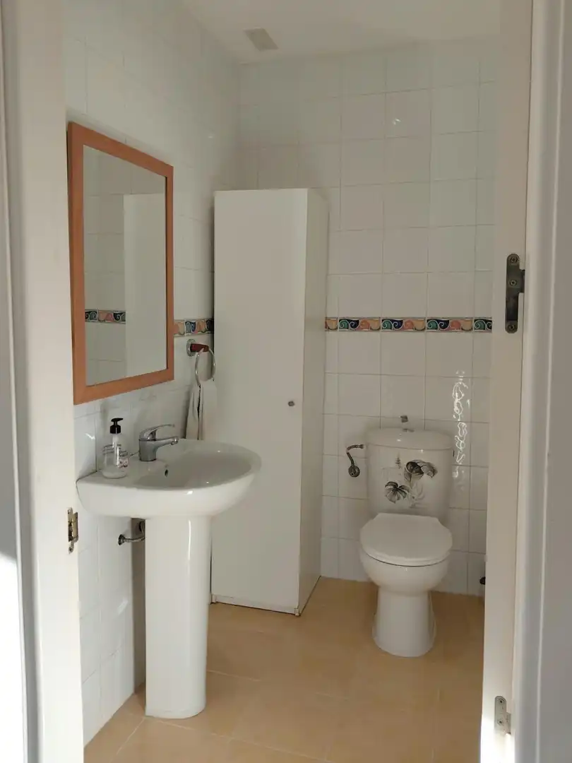 Bathroom of Duplexes for sale in Las Canteras