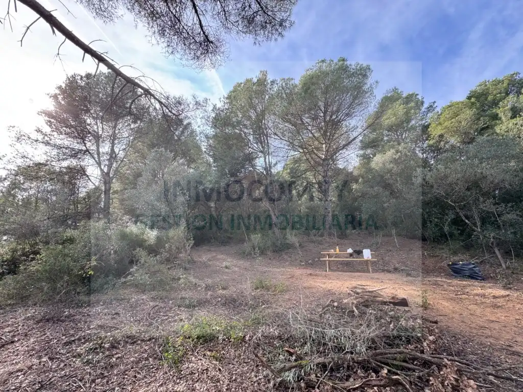 Terreno rústico en venta en Poligono 9 Paraje 190 Serra Sa 52-P, imagen 2